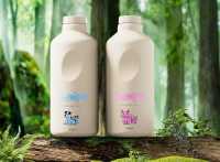 5.宠物洗护-场景应用