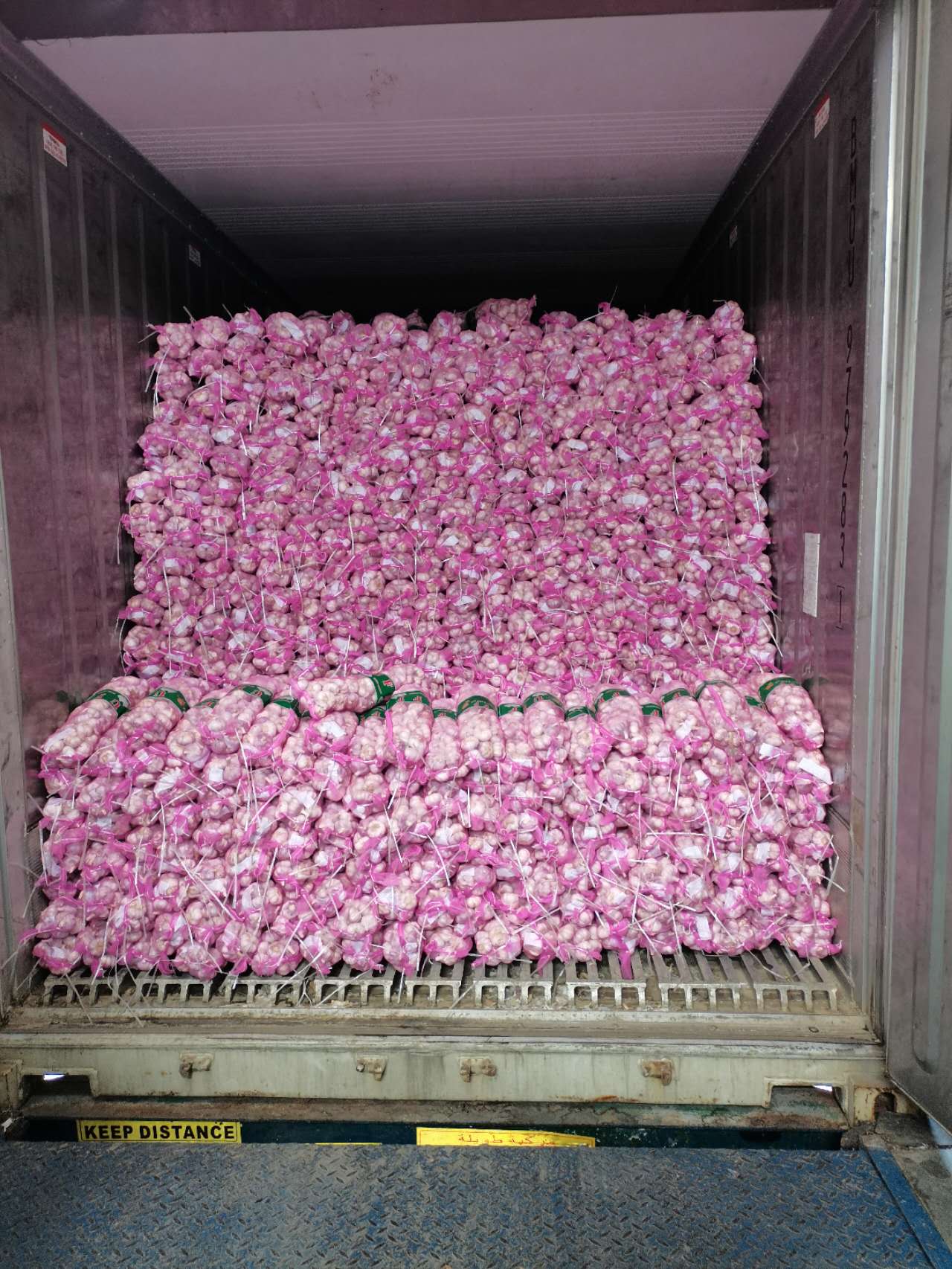 Garlic2