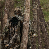 8ae109b7-f7d0-4c01-a7cb-58cb7dc3736f