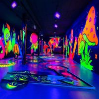 紫外线灯-71RJqgMv-EL._AC_SL1500_