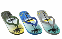 PEFlip-flops25-MY0736