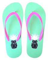 PEFlip-flops25-MY4508-2