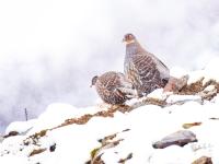 微信图片_20251119151719_248_110