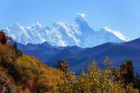 微信图片_20251119150509_235_110