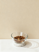 防翻斜口玻璃宠物碗