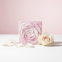 ZDJ-2026317-003-O1CN01aMqpqE1dU3bDYcAIY_!!2214828353738-0-cib