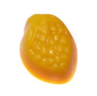 姜黄不知道是个什么莓