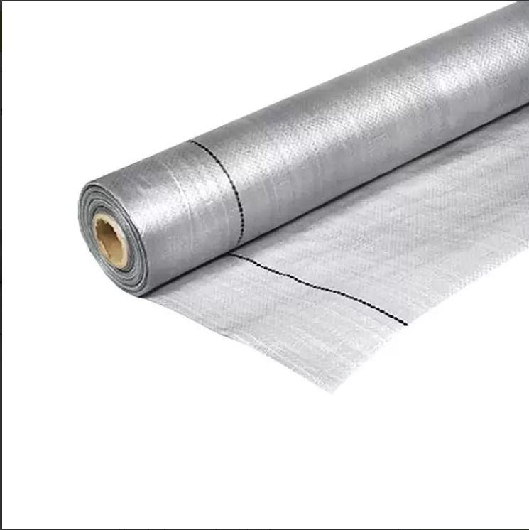 NPE-1