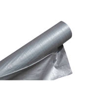 NPE-3