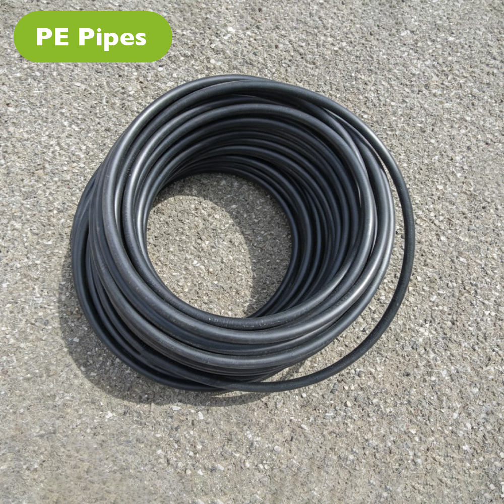 PE