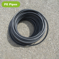 PE