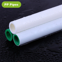 PP
