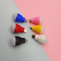 customBulbShapedLightwithUSBDrive