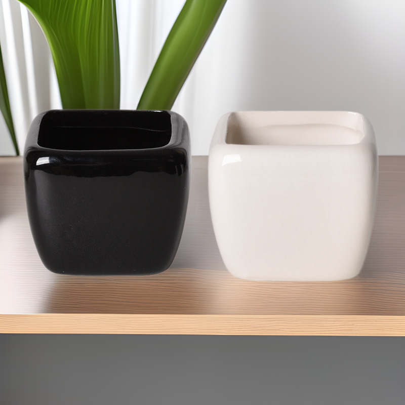 WhiteCeramicMiniFlowerPot