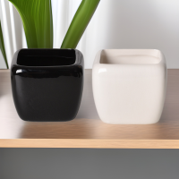 WhiteCeramicMiniFlowerPot