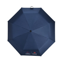customTelescopicFoldingAutomaticUmbrella