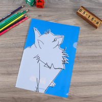 customPlasticFileFolder