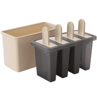 CreativeHomeMadeIceCreamMould