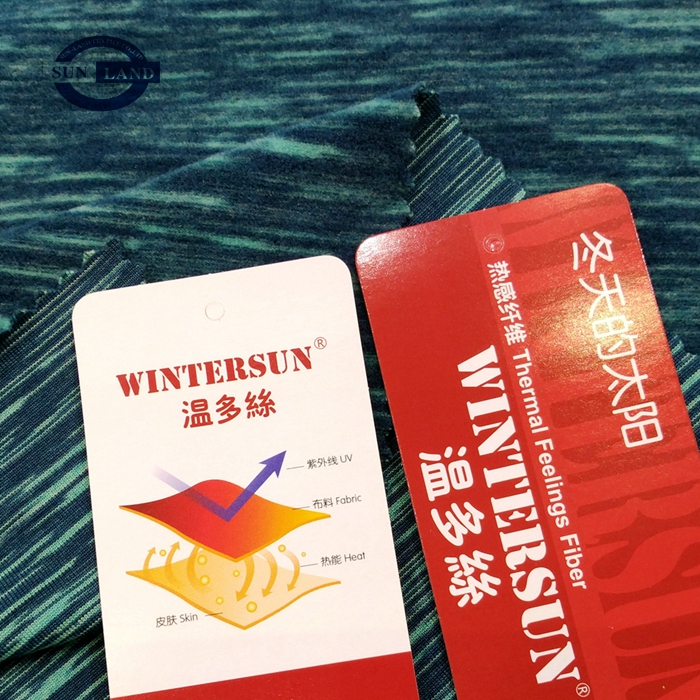 220601-FC031发热涤氨段染磨毛汗布-2