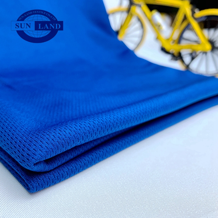 210601-FC001鸟眼布