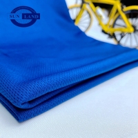 210601-FC001鸟眼布