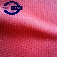 MH004全涤有光粒子网布