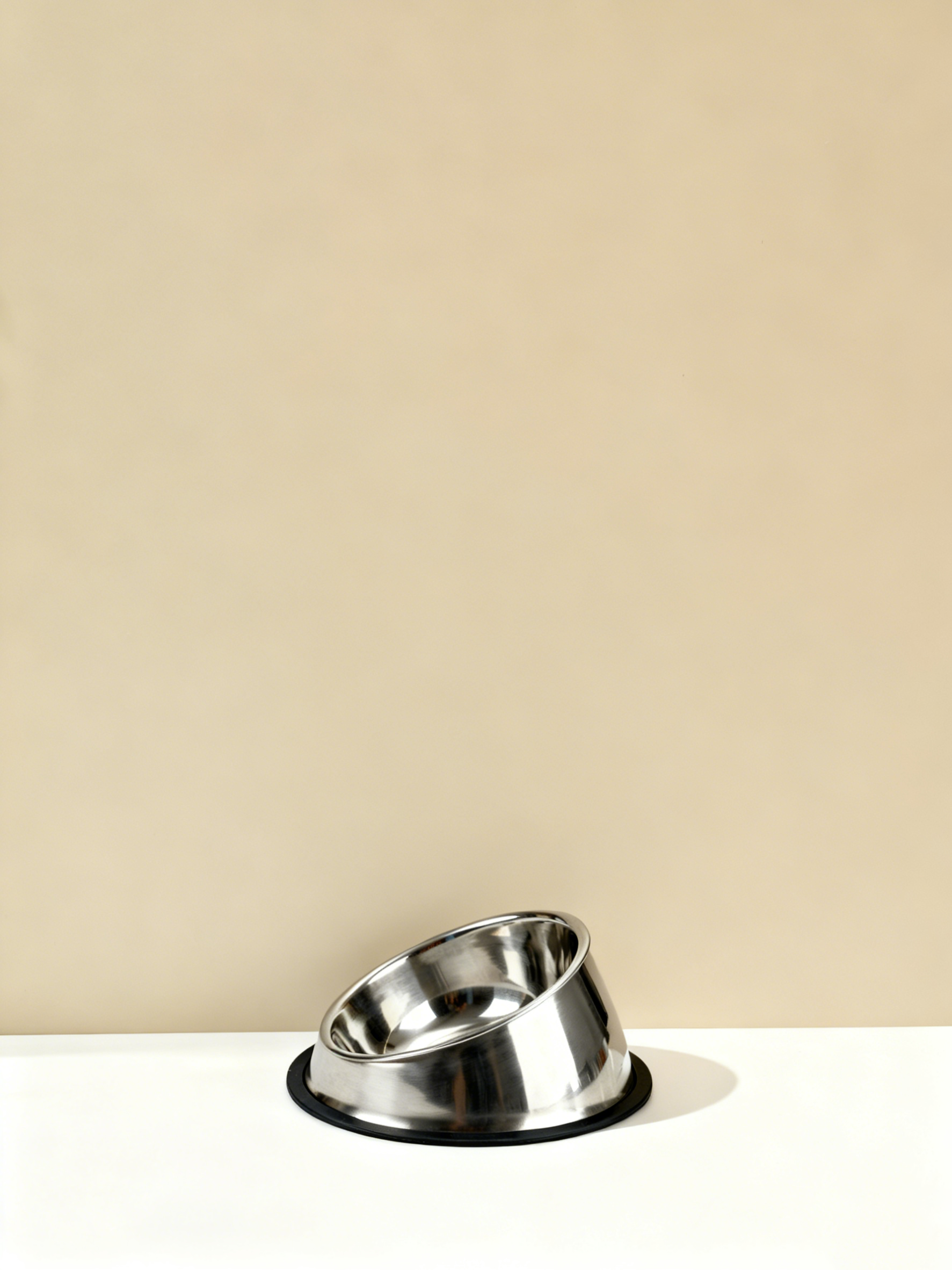 防翻斜口不锈钢宠物碗