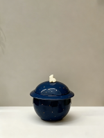 蔚蓝星球宠物陶瓷骨灰盒