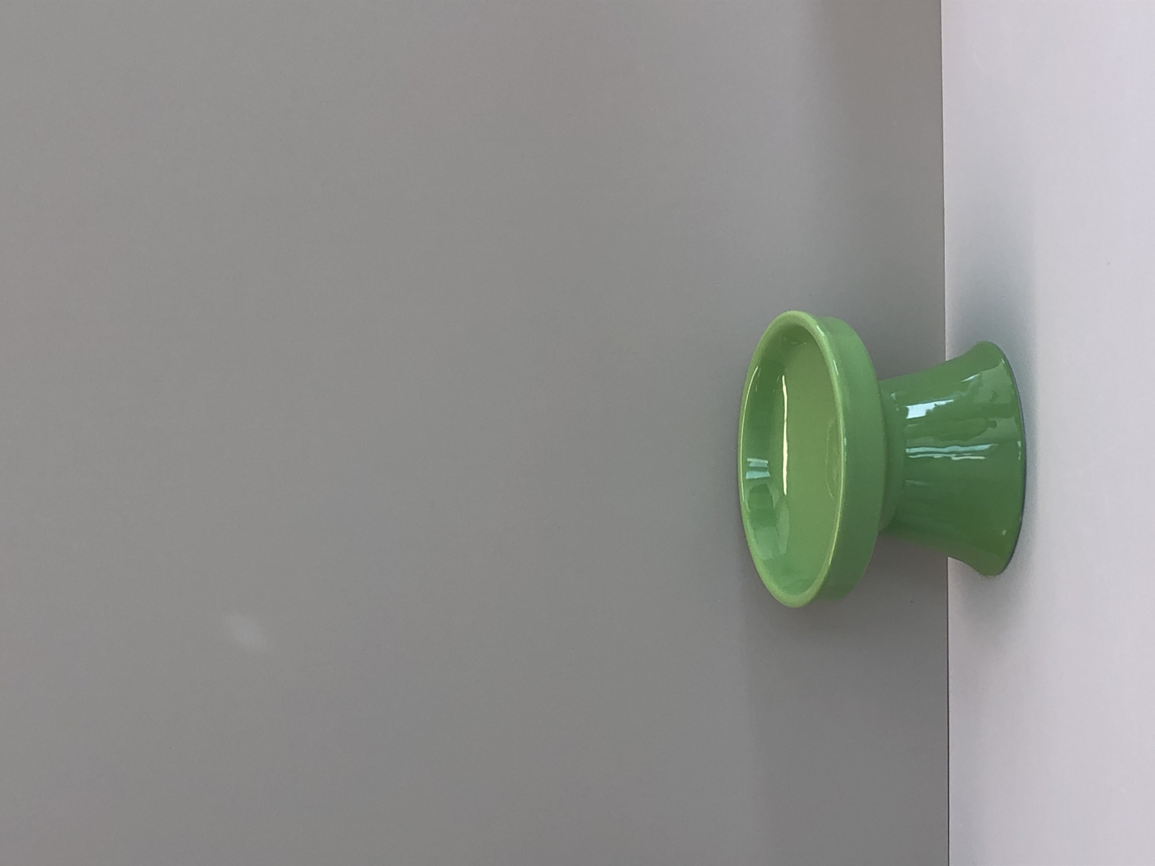 云阶宠物碗亮面绿8