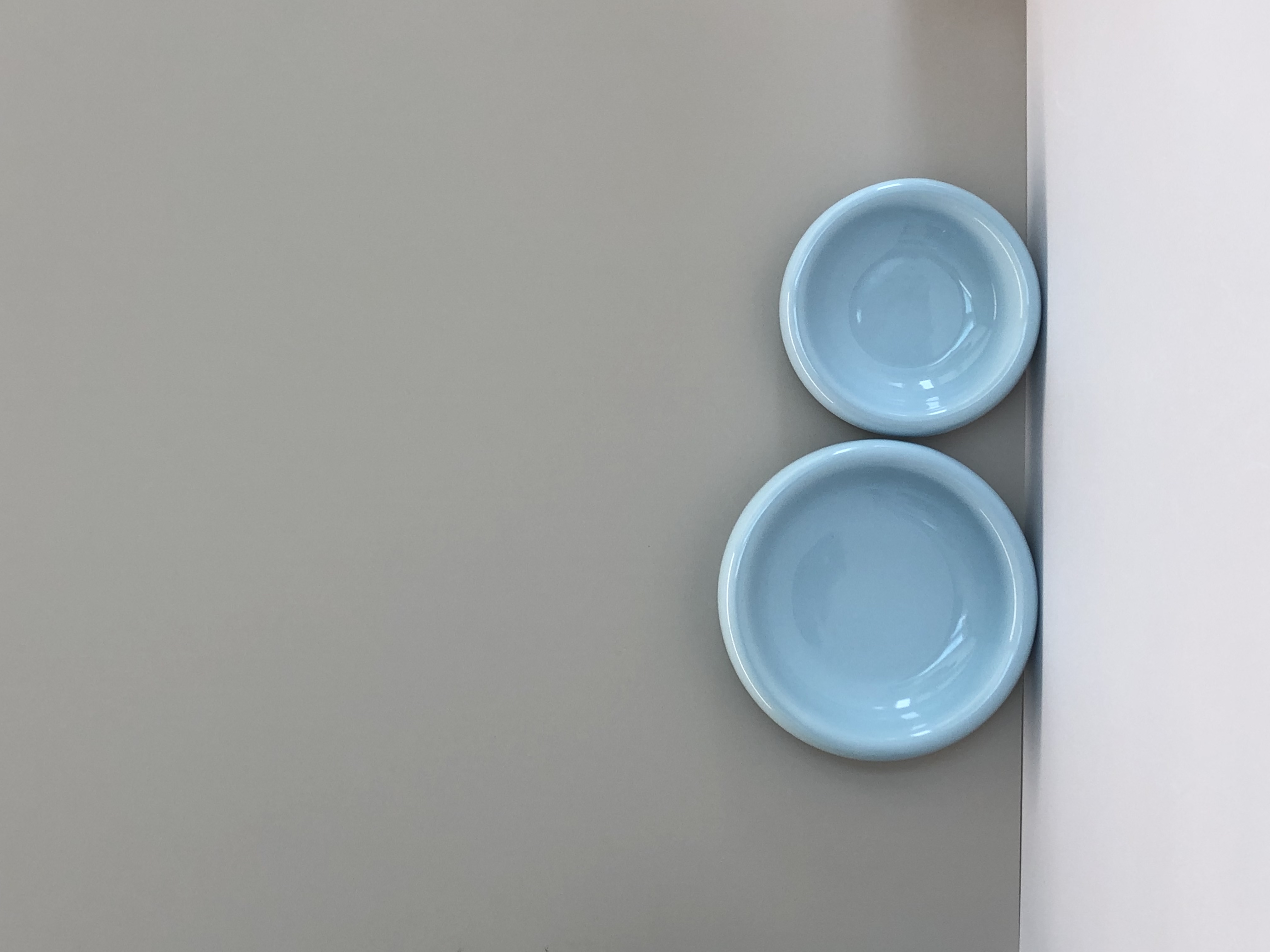 柔色陶瓷宠物盘亮面蓝7