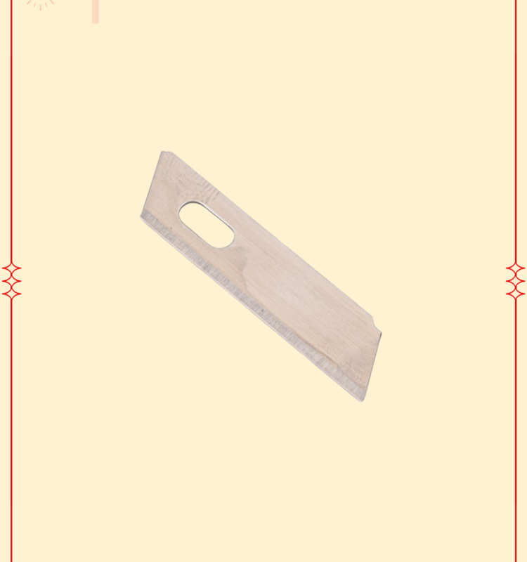 BL65-04-9-BL65-04-9-1