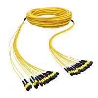 QQ图片20260206154009