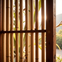 298018caf13749bb8d3137ee567f8bda