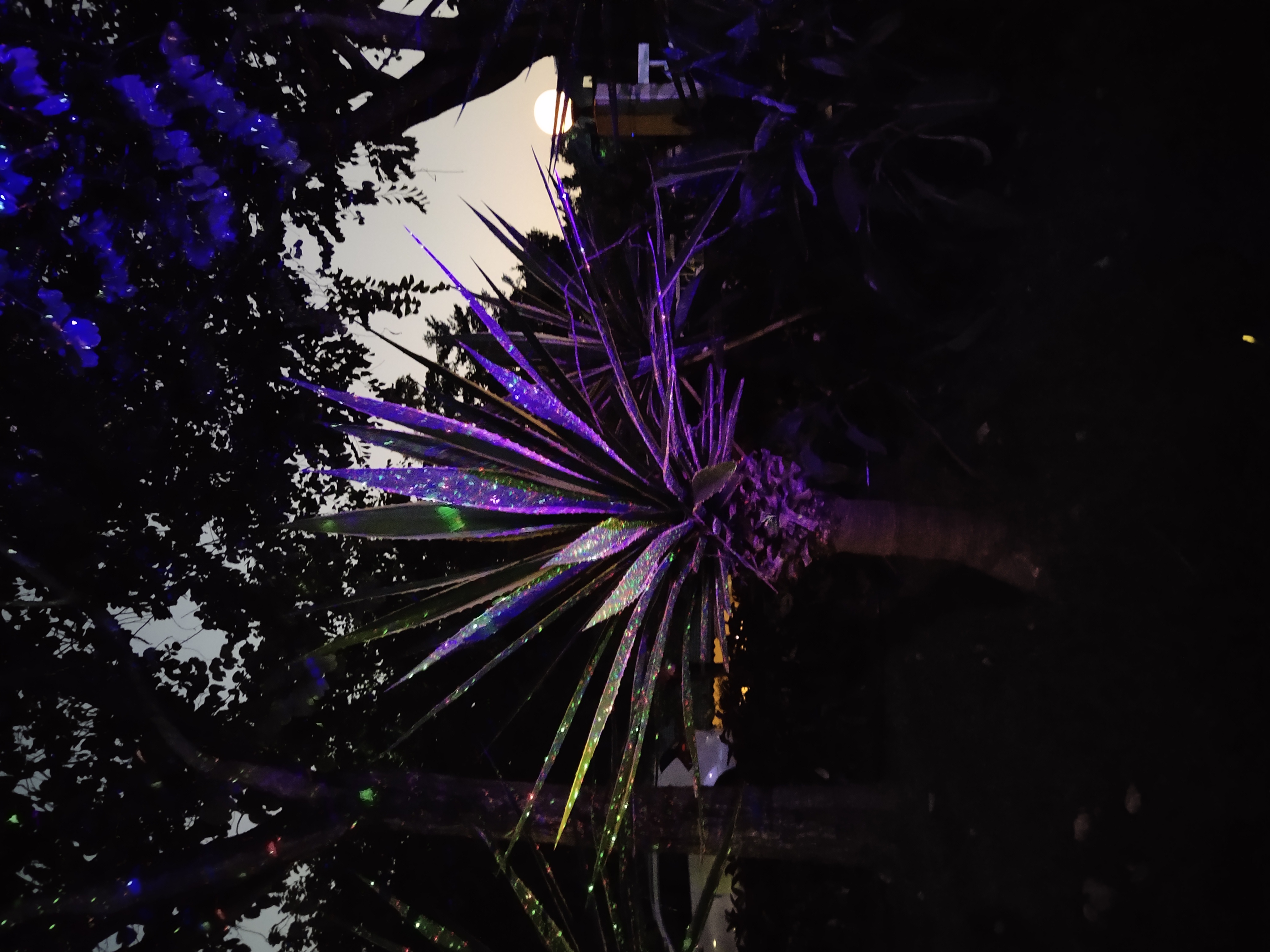 星空灯效果图片-1