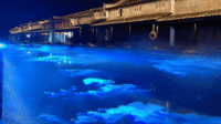 [13]水面梦幻光幕解决方案Dreamy Light Veil on Water