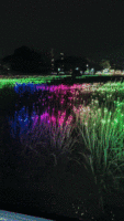 [12]幻彩麦浪解决方案Magic Color Wheat Waves Solution