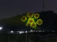 63d54e295722f5c5b54cff9425b37ba8_compress