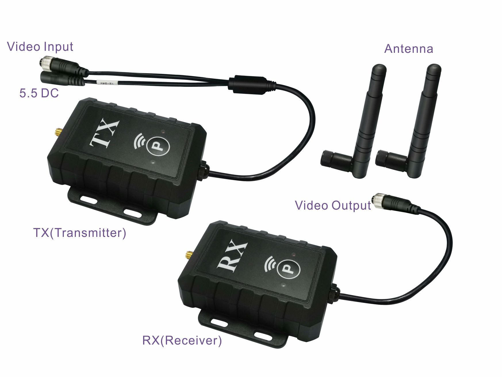 EV-815Dcomponents