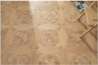 橡木安妮公主-2