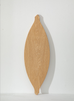 橡木安妮公主-5