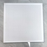 PerforatedAcousticGypsumBoard-详情-2