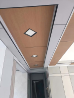 Paint-FreeGypsumBoard-4