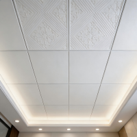 PVC洁净天花板-5