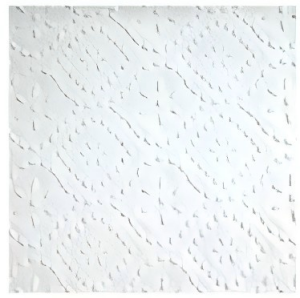 PVC洁净天花板-6