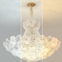 O1CN01ymRvwj1asNkbjXPjB_!!2220014843385-0-cib