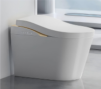 ErgonomicsSmartToilet-1