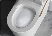 ErgonomicsSmartToilet-8