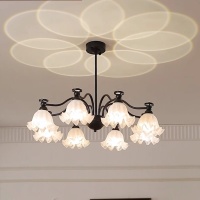 O1CN01PcHIsd1i41AA10HRl_!!2221202304358-0-cib