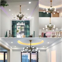 O1CN010e55Ev1hjrSBCNcH3_!!3392434314-0-cib