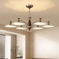 O1CN01FTKIT21BxXrhoujaN_!!2213974360012-0-cib